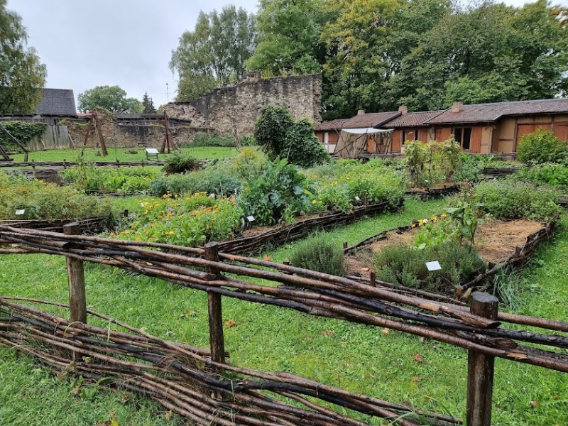 Skats uz dārzu ar paaugstinātajām dobēm.