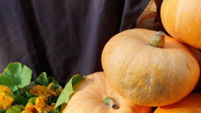 Līdz 13. septembrim aicinām amatniekus un pārtikas mājražotājus pieteikties uz Miķeļdienas tirgu