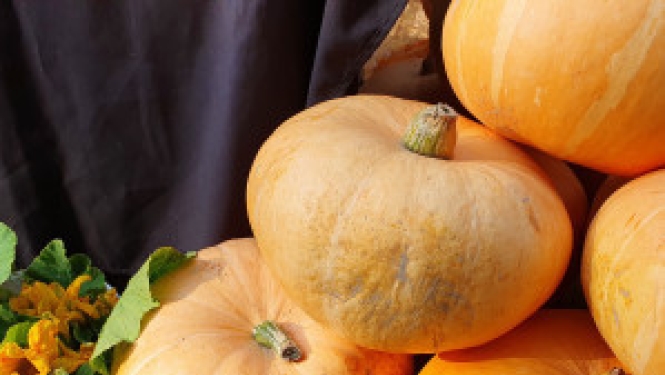 Aicinām amatniekus un pārtikas mājražotājus pieteikties Miķeļdienas tirgum līdz 3. septembrim.