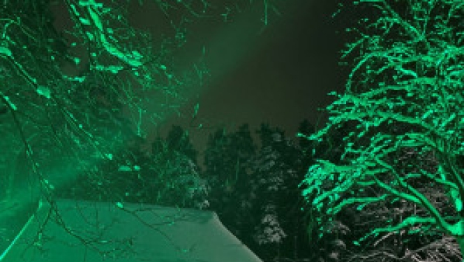 No 15. decembra gaismas instalāciju pastaigu taka “ Ziemas gaismas dārzs”