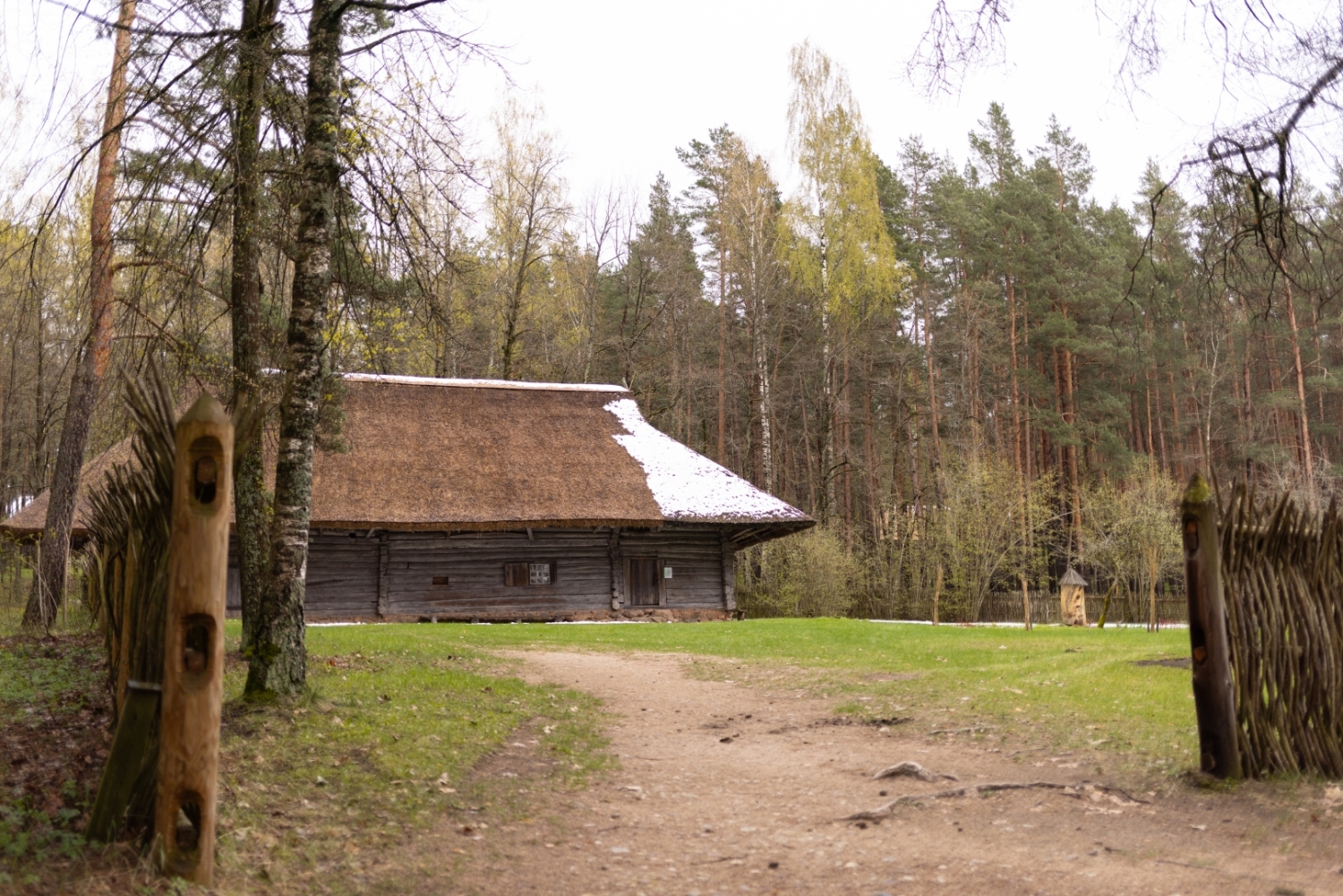 Dzīvojamā rija - skola