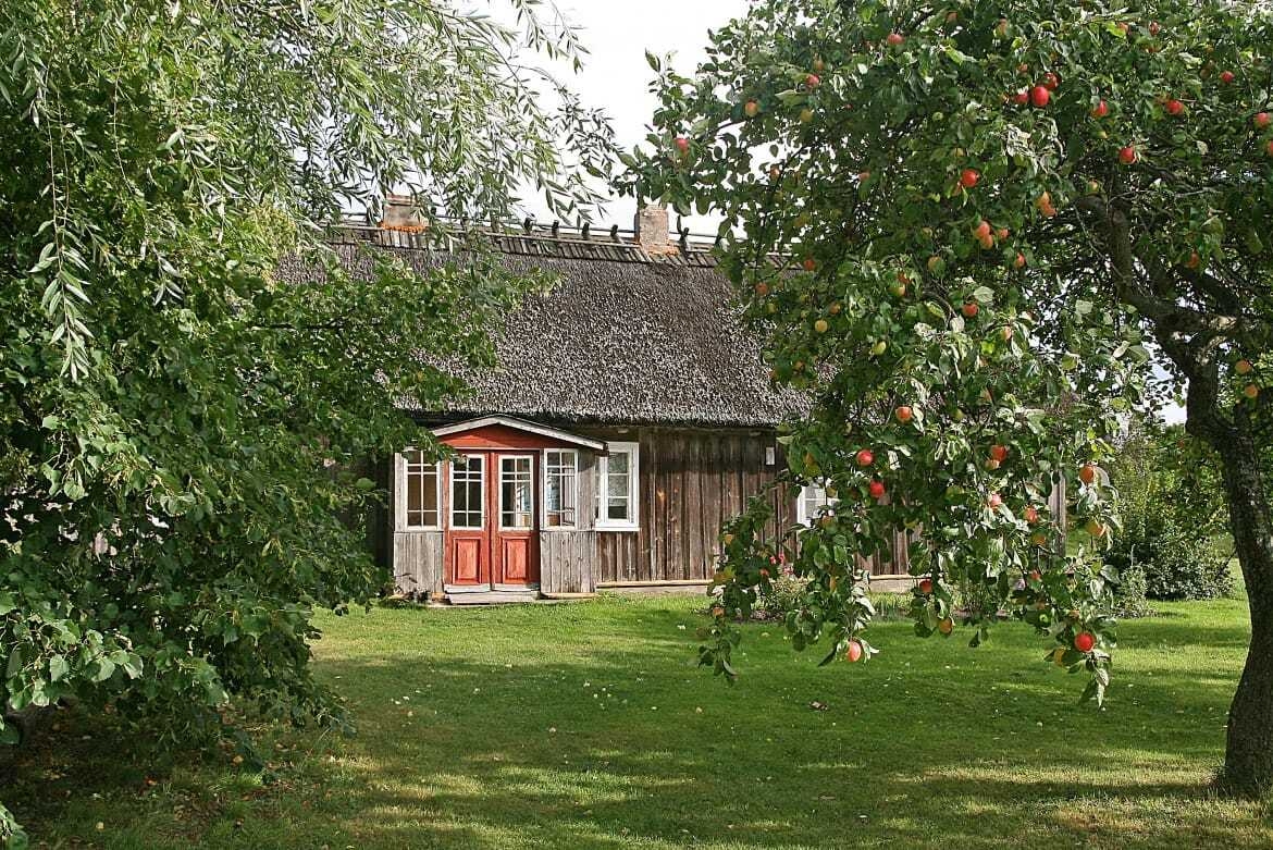 "Vītolnieki" ēka vasarā