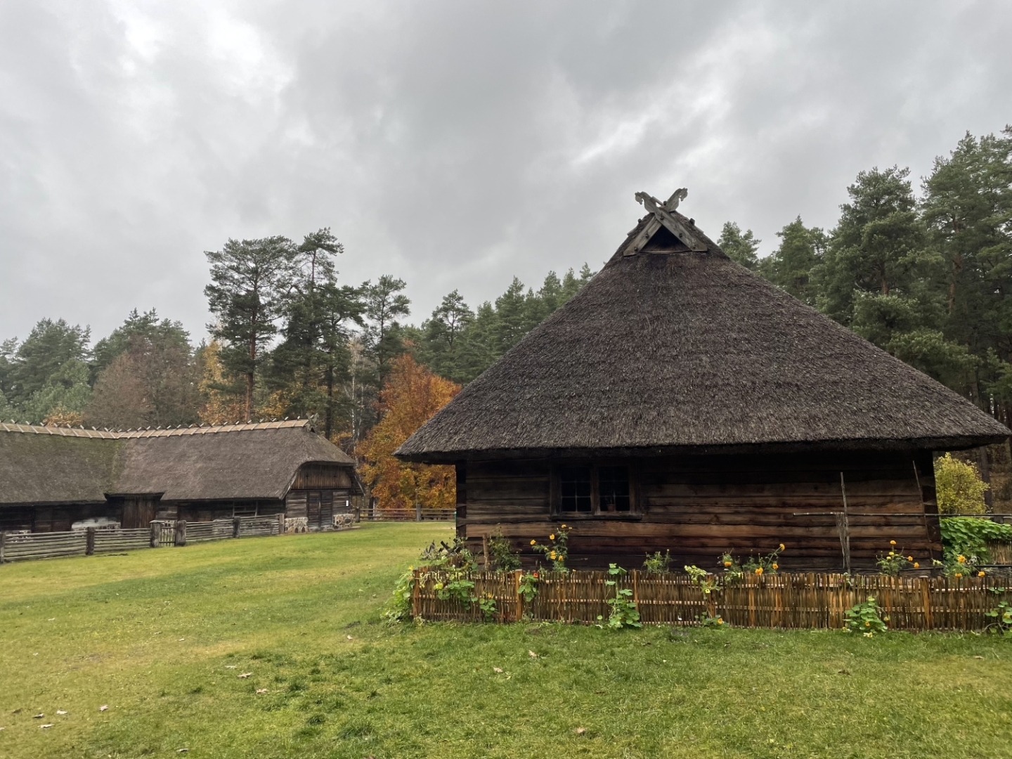 Vēsturiskā Kurzemes zemnieka sēta krēslainā un dūmakainā rudens vakara noskaņā Latvijas Etnogrāfiskajā brīvdabas muzejā.