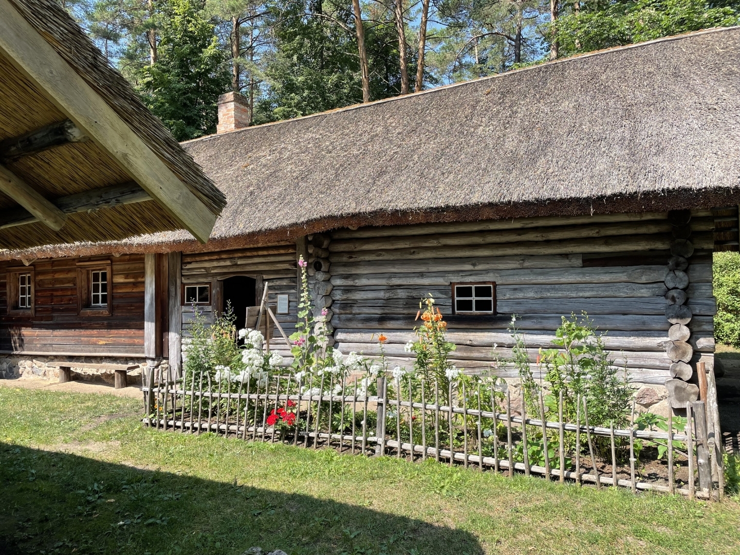 Krāšņi ziedi pie Latgales sētas ēkas.