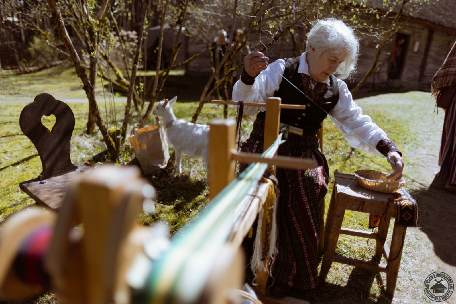 Tuvplānā sieviete ar rokām auž krāsainu un rakstainu latviešu tradicionālo jostu.
