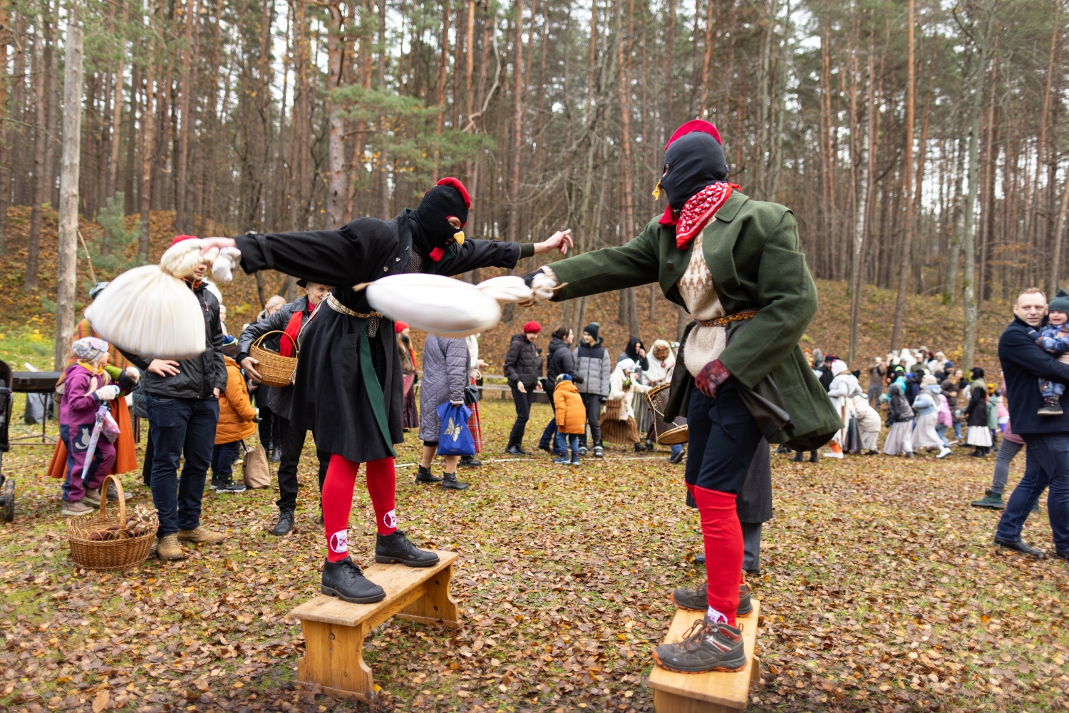 Tradicionālā Mārtiņdienas gaiļu cīņu rotaļa uz koka soliem.