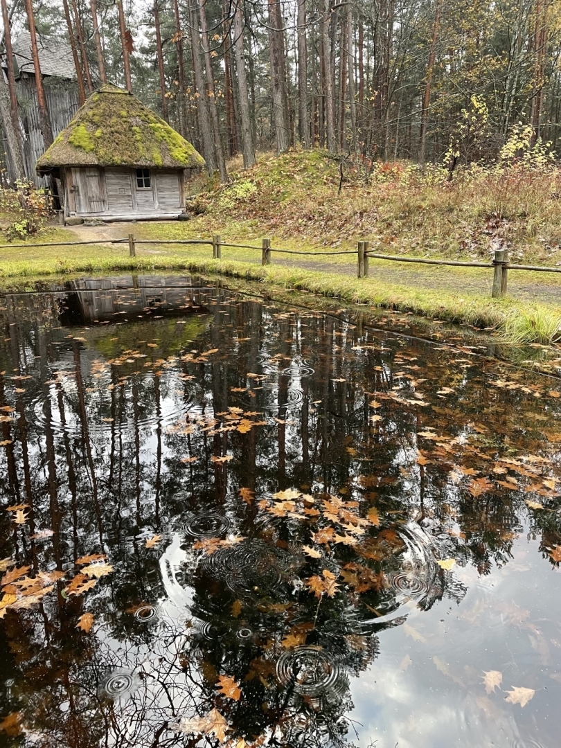 Senā koka pirtiņa dīķa malā, apkārtējai dabai tērpjoties rudenīgās un klusās krāsās.