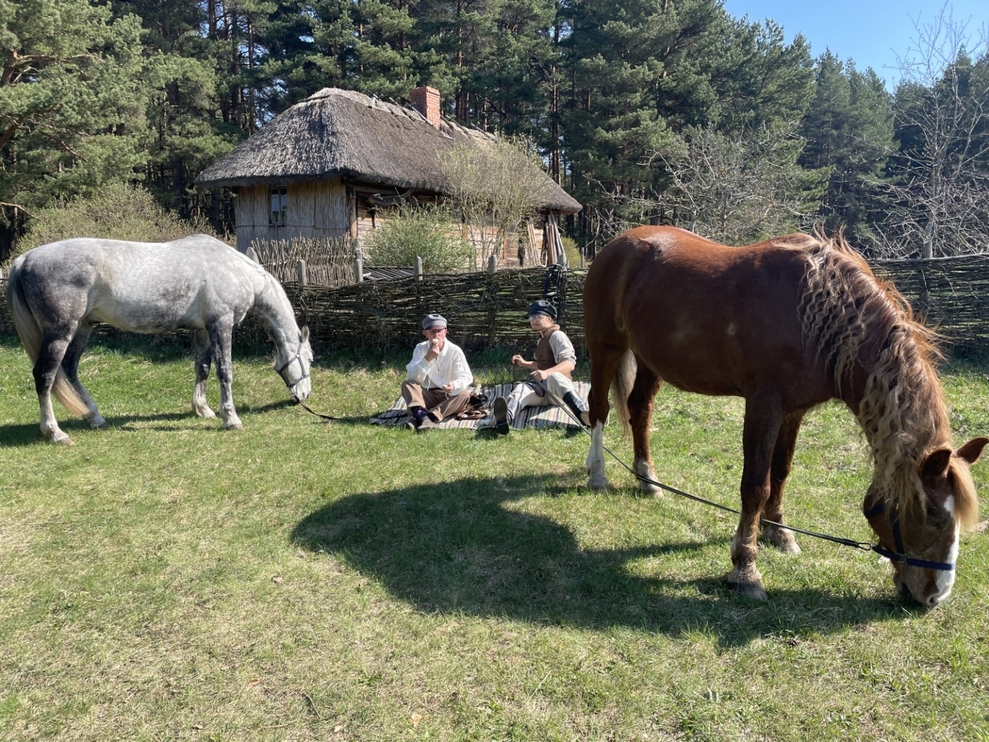 Divi puiši sēž zālē un ēd pusdienas, kamēr fonā mierīgi ganās zirgi, baudot pirmo pavasara zāli