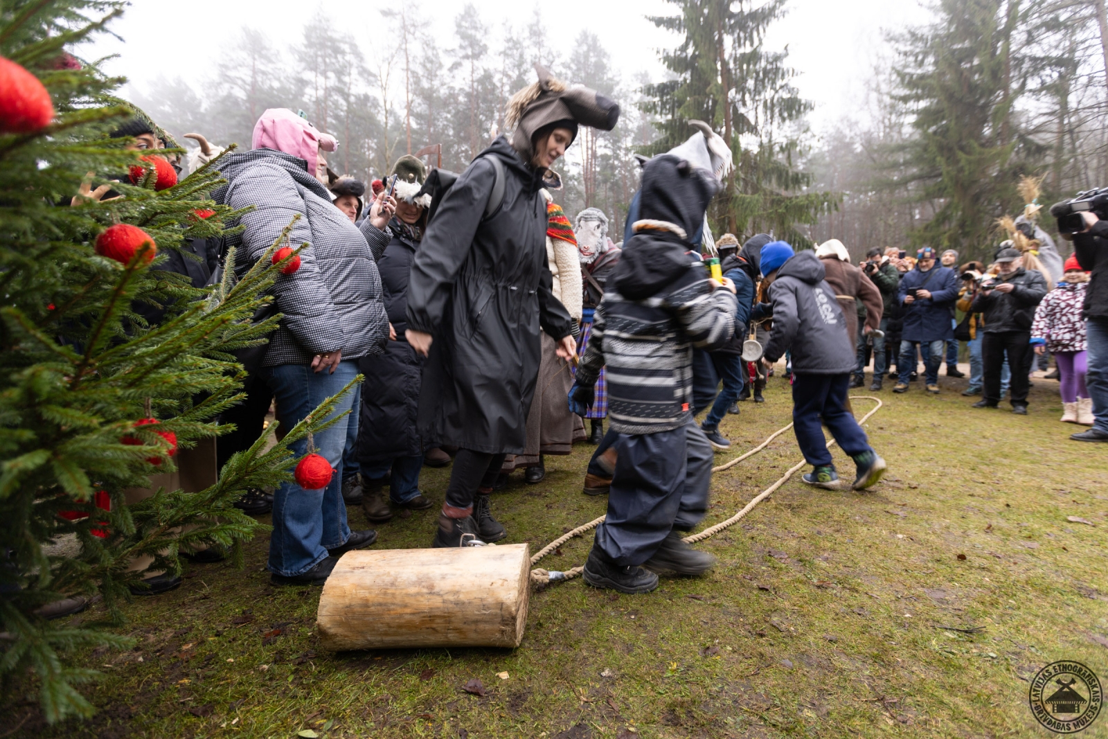 Tuvplāns: bluķa vilkšana sniegā, iezīmējot ziemas saulgriežu rituālu. 