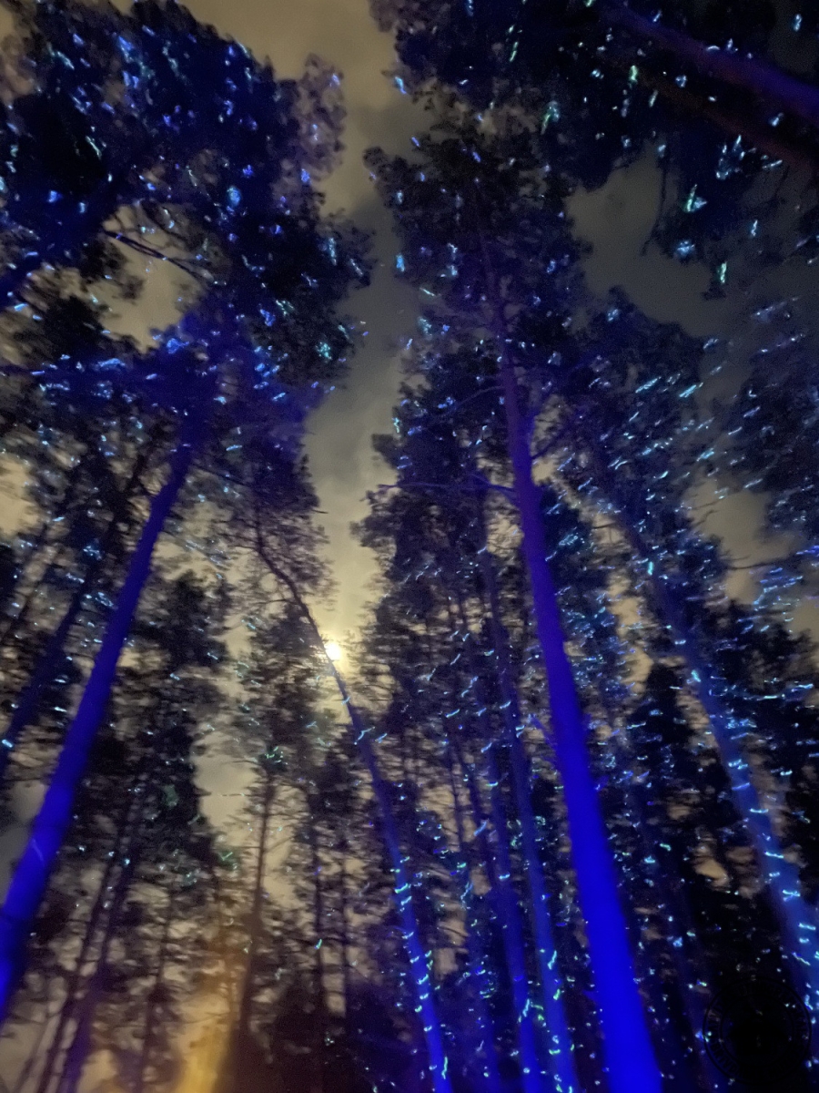 Ziemasvētku maska: sieviete čigānietes tēlā  
