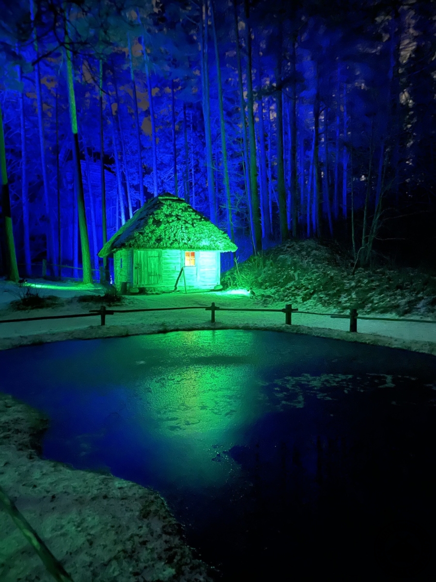 Prožektoru izgaismots mežs violetos toņos, radot maģisku ziemas noskaņu. 