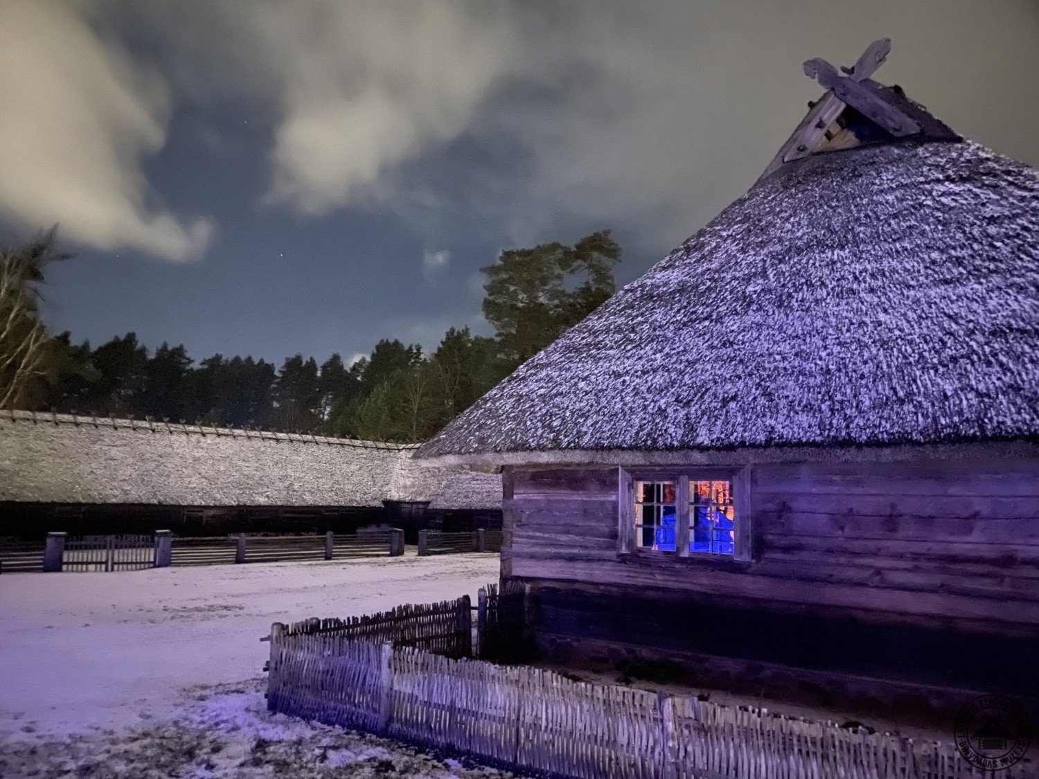 Violeti izgaismots mežs ar zeltītām gaismas uguntiņām kokos. 