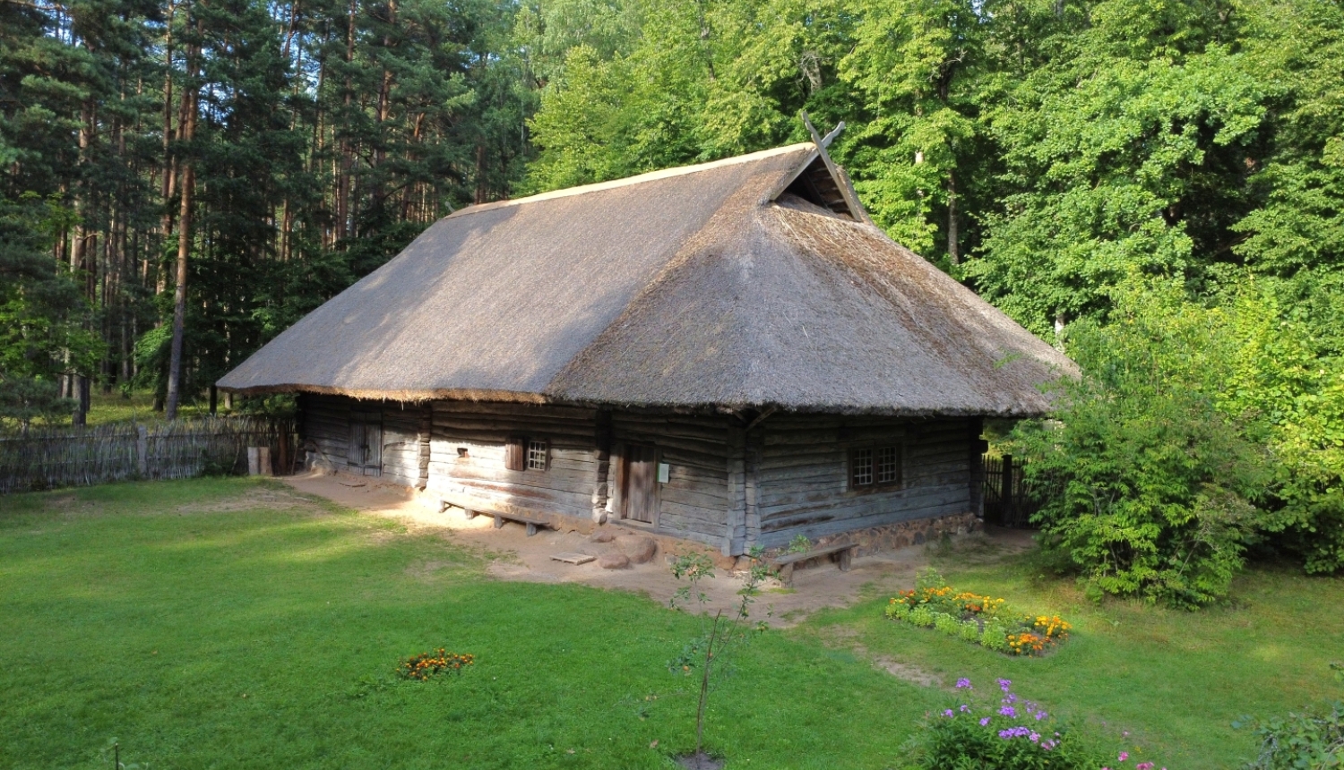 Dzīvojamā rija - skola