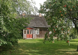 "Vītolnieki" ēka vasarā